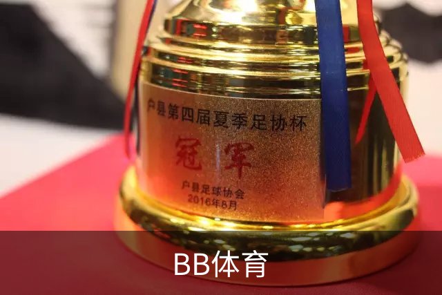 BB体育公司介绍图